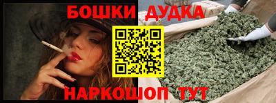 индика Дубна