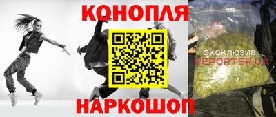 индика Дубна