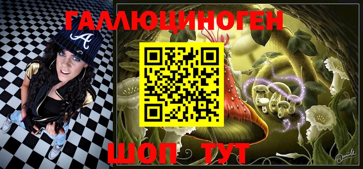 Галлюциногенные грибы Psilocybe Кунгур